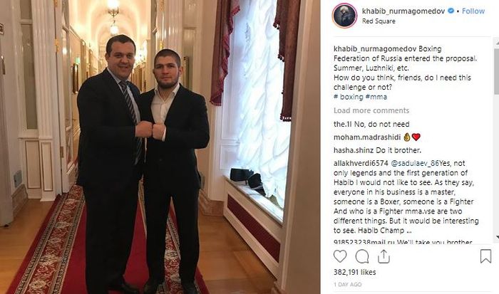 Khabib Nurmagimedov, mengajukan proposal tinju kepada federasi tinju Rusia pada kamis (7/2/2019)