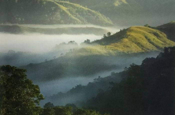 Taman Nasional Matalawa, Sumba.