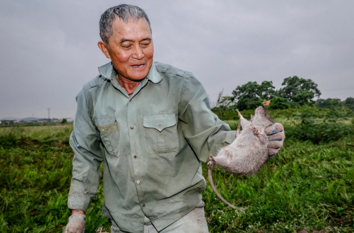 Thy dengan tikus yang berhasil ia tangkap di sawah. 