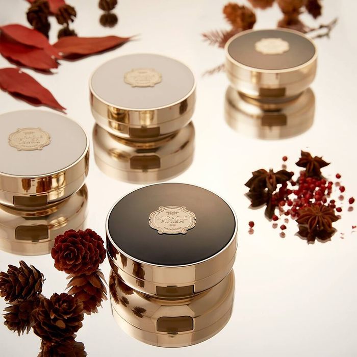 The Face Shop BB Power Perfection Cushion SPF50+ PA+++