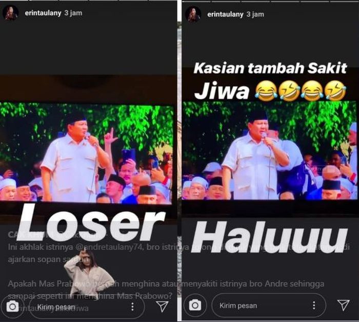 Instagram Story Erin Taulany.