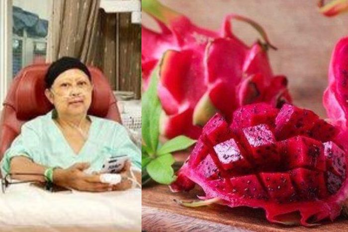 Ani Yudhoyono disarankan konsumsi jus buah naga oleh Sutopo.