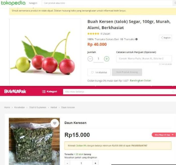 Buah kersen dan daun kersen yang berharga jual tinggi