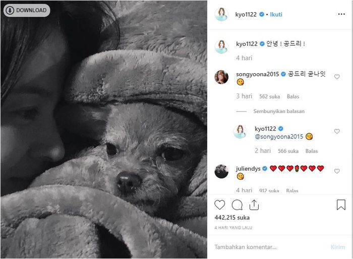 Postingan Song Hye Kyo