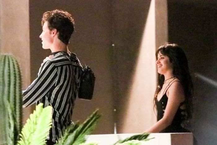 Shawn Mendes jalan bareng Camilla  