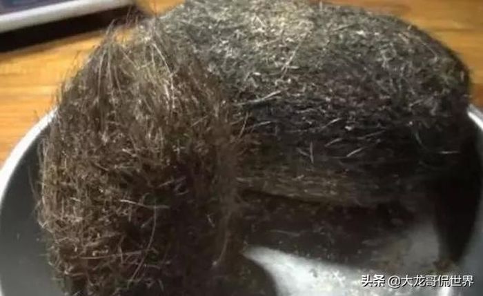 Pemilik temukan dua benda aneh di dalam perut babi.