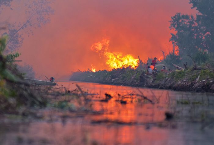 Api berkobar dari kebakaran lahan gambut di Desa Penarikan Kecamatan Langgam Kabupaten Pelalawan, Riau, Minggu (28/7/2019). Berdasarkan data Badan Nasional Penanggulangan Bencana (BNPB) kebakaran hutan dan lahan hingga Juli 2019 luasnya lebih dari 27 ribu hektare, dan kini masih terus meluas di Kabu