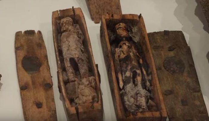 Sedang Bermain Anak-Anak ini Temukan Peti Mati Berisi Boneka, Ahli Kaitkan dengan Kasus Pembunuhan Mengerikan