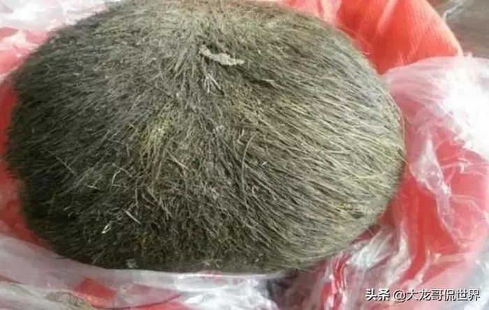 Beginilah penampakan benda tersebut dari jarak dekat.