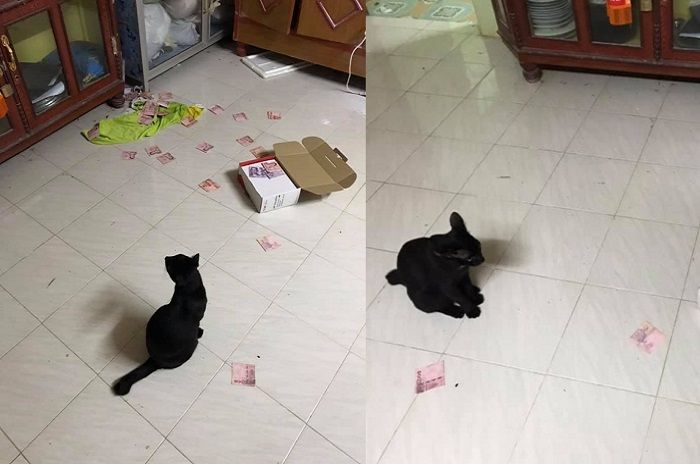 Postingan seorang istri tentang uang yang disembunyikan suaminya mendadak viral