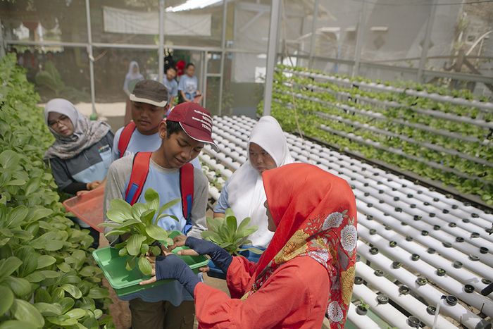 Para siswa inklusi Dreamable mengikuti pelajaran diluar kelas untuk belajar bagaimana menanam Pak Coy di Kelompok Berkebun Flamboyan di Kelurahan Cisaranten Kidul, Bandung.