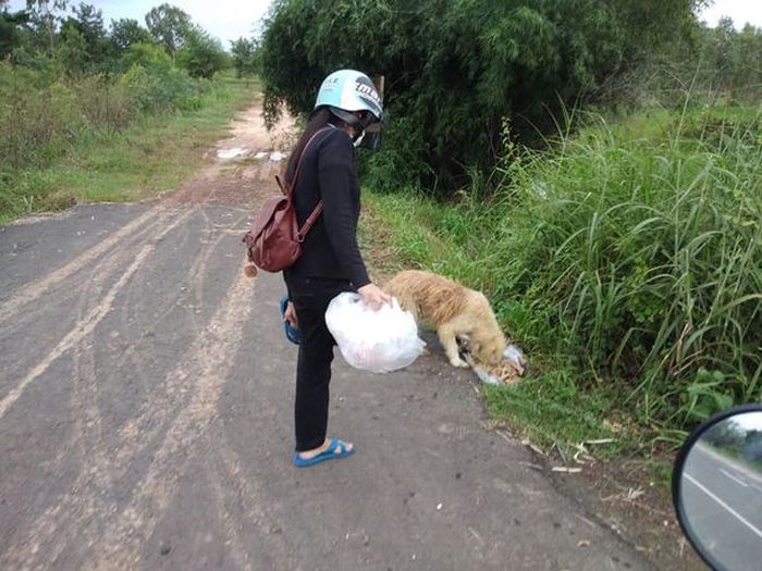 Saowaluck Pinnuvech memberi makan Leo setiap hari.