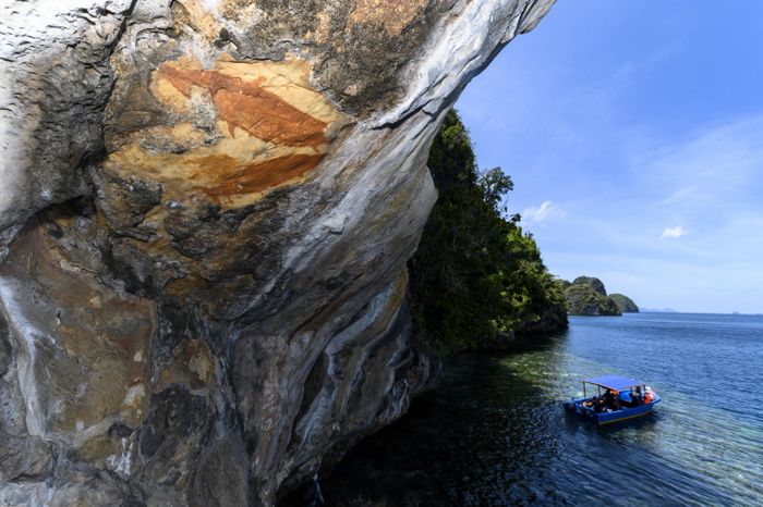 Motif binatang banyak dijumpai dalam seni cadas yang ditemukan di perairan Misool, Raja Ampat, Papua Barat.