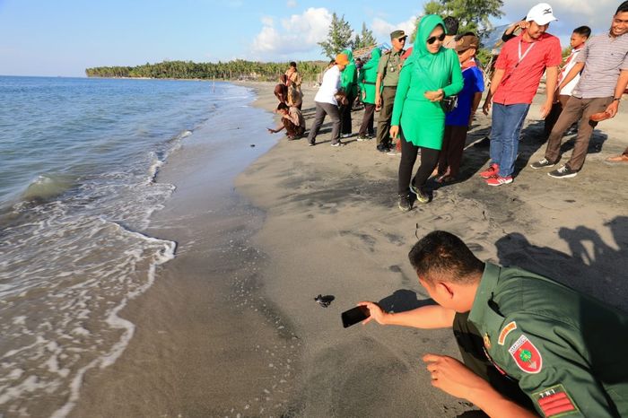 Balai Taman Nasional Taka Bonerate memperingati Hari Nusantara dengan melaksanakan kegiatan Penanaman Pohon dan Pelepasliaran Tukik.