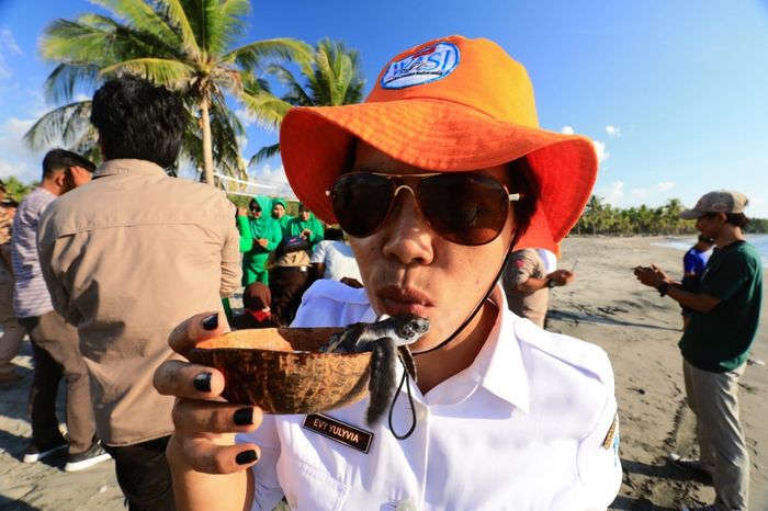 Balai Taman Nasional Taka Bonerate memperingati Hari Nusantara dengan melaksanakan kegiatan Penanaman Pohon dan Pelepasliaran Tukik.