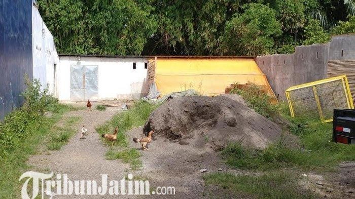 Lokasi kandang ayam yang digunakan untuk menyekap MI 