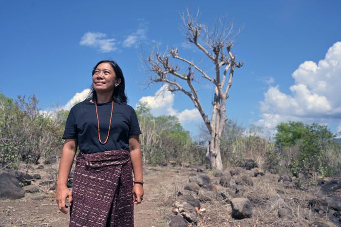 Maria Loretha, pejuang sorgum yang menginisiasi penanaman sorgum di Likotuden. Sejak panen pertama, warga mulai percaya diri untuk membangun dusunnya, kasus kekurangan gizi pada balita pun menurun.