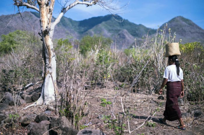 Perempuan Likotuden memiliki kain tenun yang khas. Mereka juga menggunakan daun lontar untuk aneka wadah.