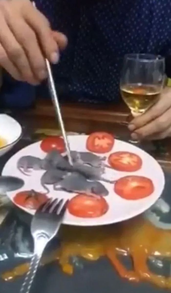 Sebuah video menjijikkan telah muncul tentang seorang pria yang memakan bayi tikus hidup menggunakan sumpitnya.