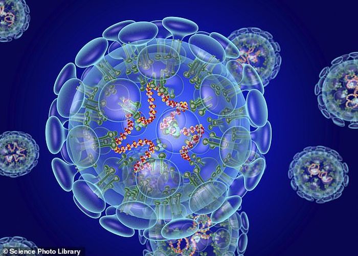 Virus corona COVID-19 bisa bermutasi sama seperti mikroorganisme lainnya. 