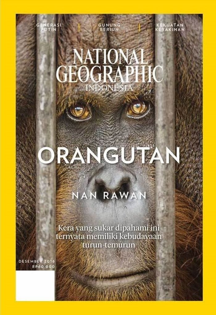 Orangutan Nan Rawan