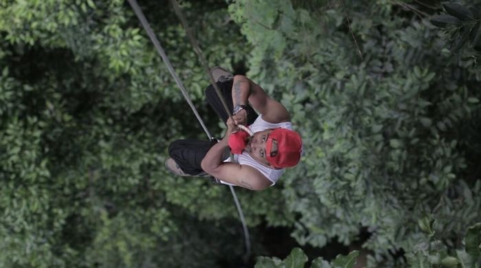Glenn Fredly di tengah Hutan Manusella, Maluku sedang menaiki pohon merbau kayu besi. PHOTO di Instagram @glennfredly309