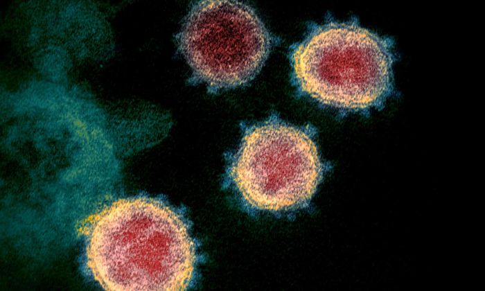 Ibarat penyuntingan makalah, virus memperbaiki salah ketik dalam gennya. Tetapi kesalahan tetap ada yang lolos dan menjadi mutasi hingga varian baru.