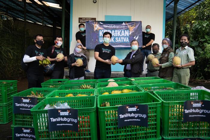 Bantuan makanan untuk hewan-hewan di Taman Safari.