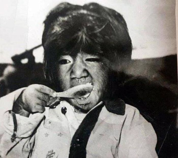 Zhenhuan keil memiliki bulu di sekujur tubuhnya.