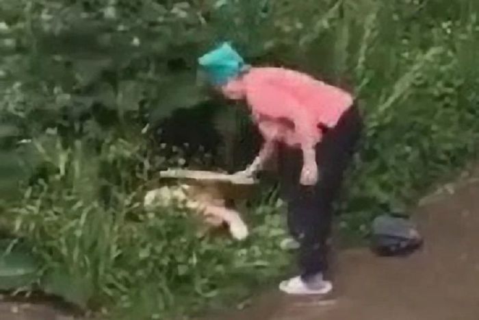 Nenek di Rusia pukuli bokong pasangan yang tengah berhubungan badan di semak-semak