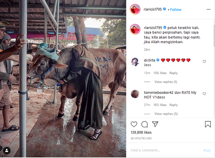 Ria Ricis saat memeluk sapi kurbannya.