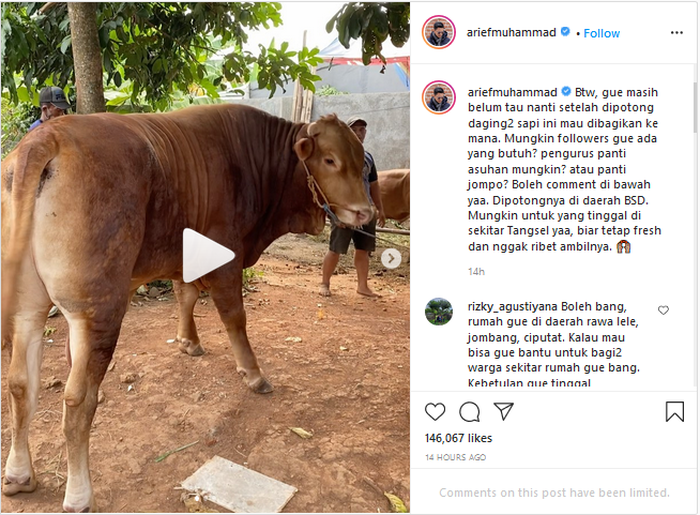 Sapi Arief Muhammad yang dikurbankan.