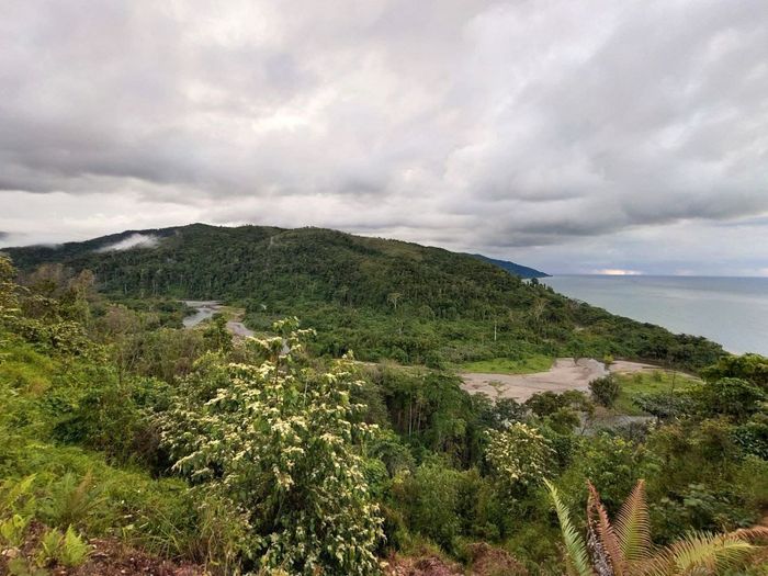 Pesisir Tambrauw, kota Sausapor berada nun di bawah sana.