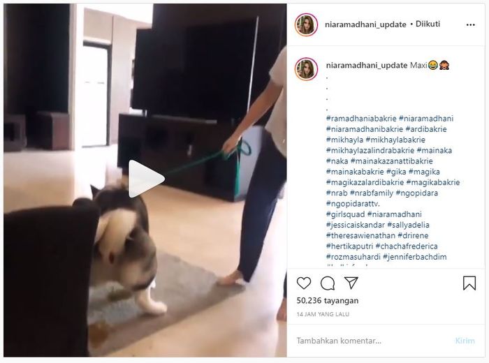 Unggahan Instagram Story Nia Ramadhani yang biarkan anjingnya buang air di karpet rumahnya ini banjir hujatan netizen.