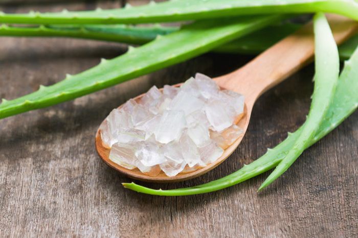 Gel lidah buaya atau aloevera gel