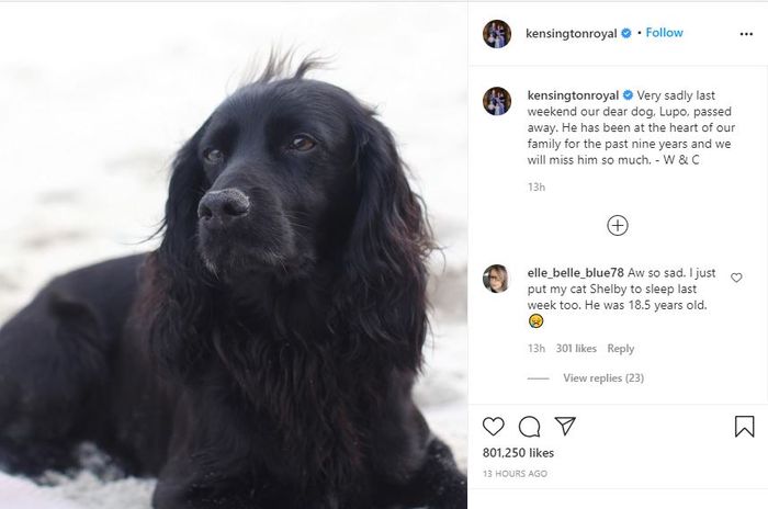 Pangeran William dan Kate Middleton luapkan kesedihan karena anjing kesayangan mereka meninggal.