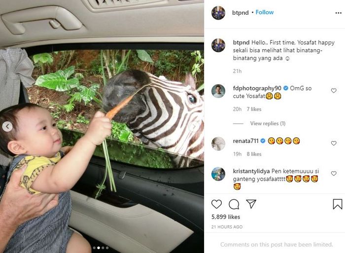 Yosafat Abimanyu Purnama beri makan zebra