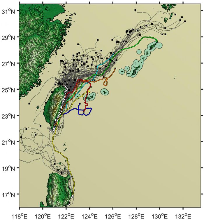 Data pantauan pelampung yang dihanyutkan dari Taiwan dan Pulau Luzon, Filipina.