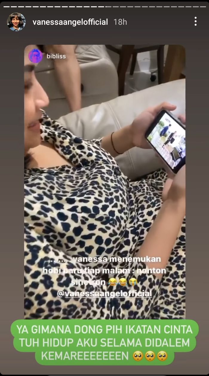 Bibi Ardiansyah terheran-heran melihat istrinya, Vanessa Angel yang kecanduan menonton sinetron pasca pulang dari Lapas Pondok Bambu. 