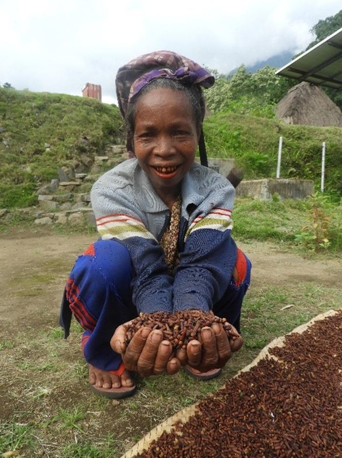 Oma Isabela menunjukkan cengkeh hasil kebunnya. Kegiatan wari cengkeh biasa dilakukan warga Maghilewa selepas masa panen. Proses penjemuran ini memakan waktu tiga hari bahkan seminggu. Tergantung pada kondisi cuaca.