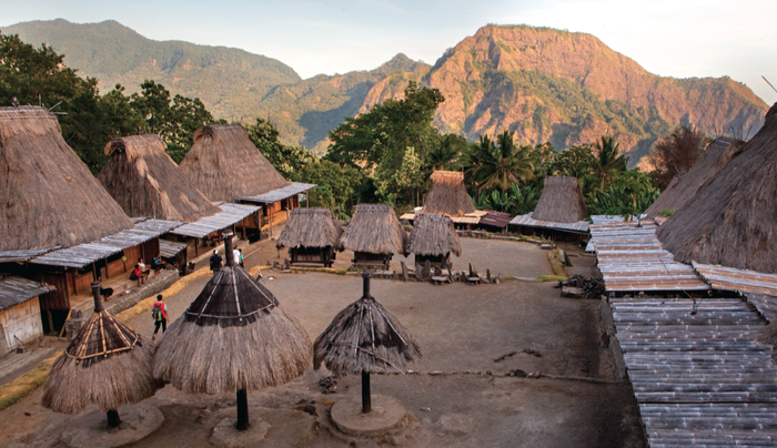 Deretan rumah tradisional tertata rapi mengikuti kode budaya dari leluhur. Pemandangan seperti ini dapat kita saksikan di Kampung Adat Bena, Desa Tiworiwu, Ngada.