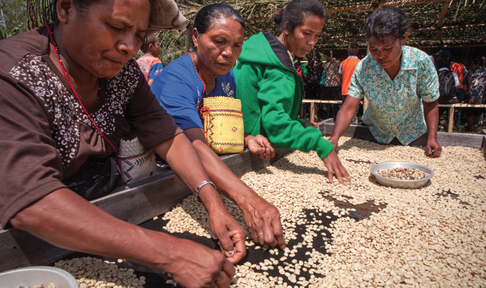 Di wilayah Bajawa, para petani kopi bergotong royong menjemur biji kopi hasil panen kebun masyarakat.