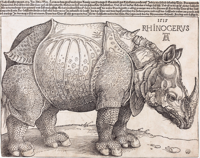 Lukisan berjudul Rhinocerus karya Albrecht Durer (1471 &ndash; 1528) pada 1515. Lelaki Jerman itu tidak menyaksikan langsung satwa ini sehingga uncul cula lain di bagian tengkuknya. Kesalahan ini baru dikoreksi setelah dua abad lamanya. 
