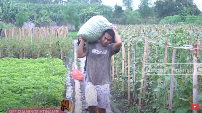 Anak buah Ningsih Tinampi beralih profesi menjadi tukang kebun   
