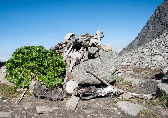 Tulang-belulang manusia di sekitar Danau Roopkund di Himalaya.