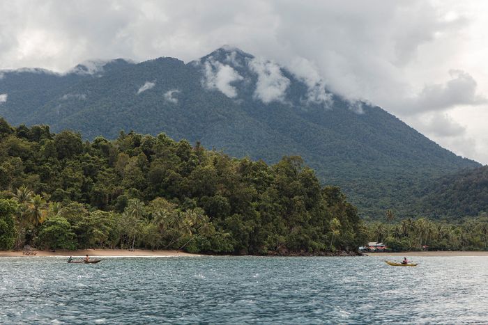 Pegunungan Cycloop tampak menjulang menembus awan, dilihat dari pesisir Tablasupa. Bagi warga, pegunungan ini layaknya ibu yang menjaga dan menghidupi anak-anaknya.