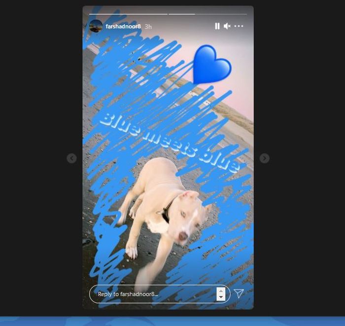 Postingan insta story Farshad Noor pada Sabtu (20/3/2021) yang seolah mengkode Persib Bandung