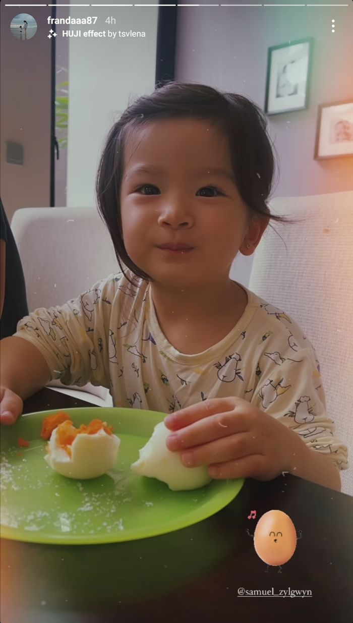 Tangkapan layar Instagram Story Franda.