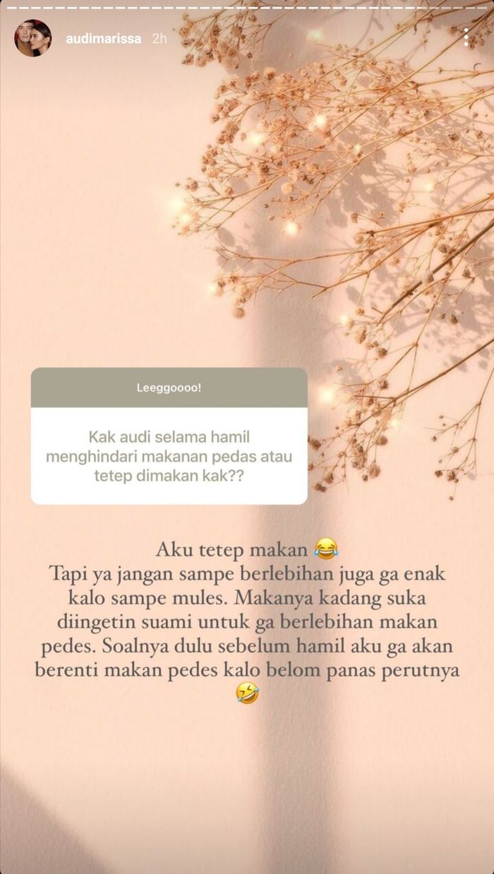 Tangkapan layar Instagram Story Audi Marissa.