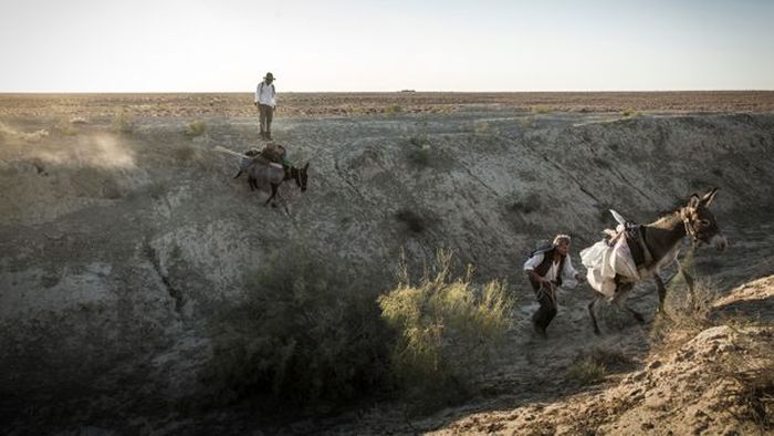 Di Uzbekistan yang terpencil, Paul Salopek dan pemandunya melintasi hutan belantara Jalur Sutra yang tidak pernah dikunjungi pejalan kaki selama beberapa generasi.